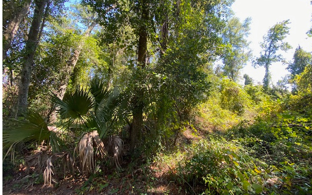 Property view 4